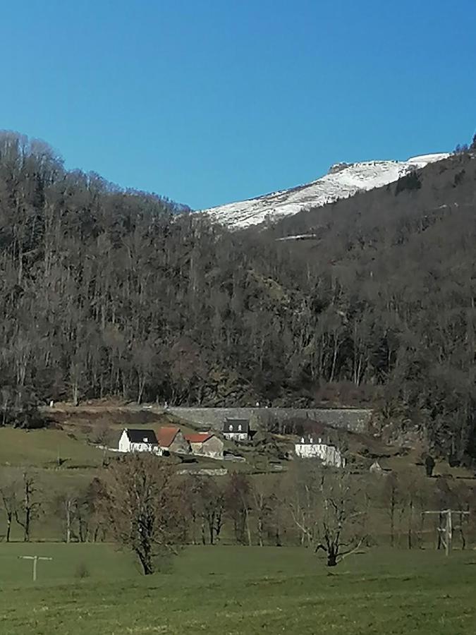 Appartamento La Basse-Cour Vic-sur-Cère Esterno foto